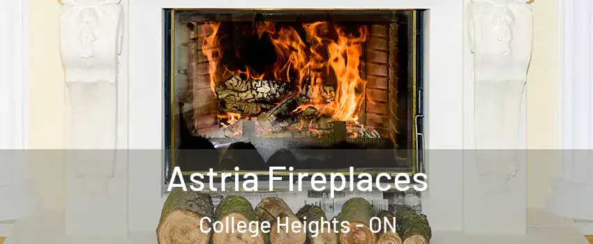  Astria Fireplaces College Heights - ON
