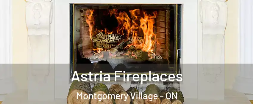  Astria Fireplaces Montgomery Village - ON