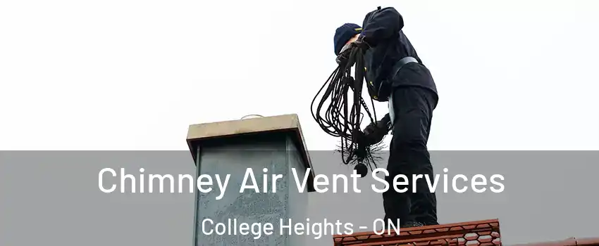  Chimney Air Vent Services College Heights - ON