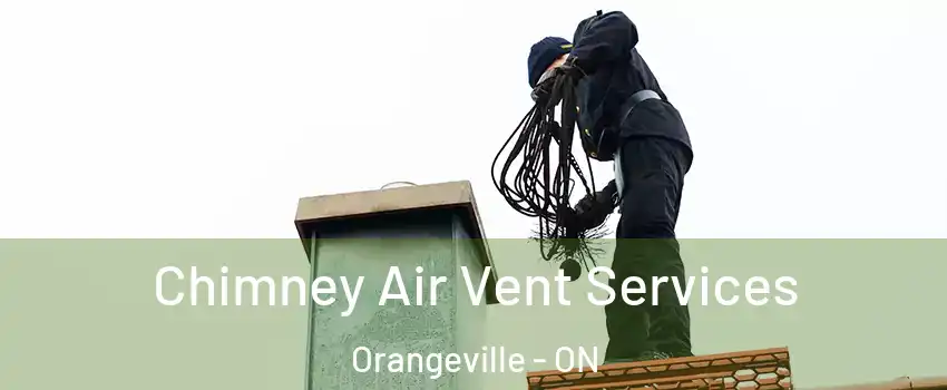  Chimney Air Vent Services Orangeville - ON