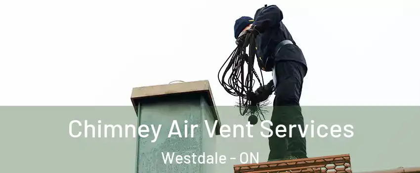  Chimney Air Vent Services Westdale - ON