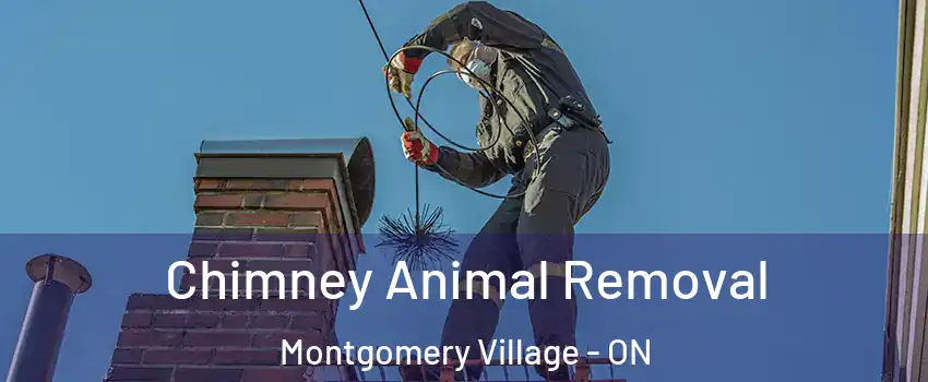 Chimney Animal Removal Montgomery Village - ON