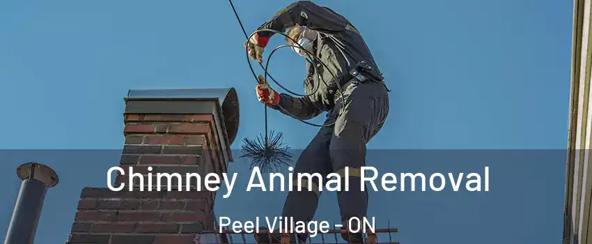 Chimney Animal Removal Peel Village - ON
