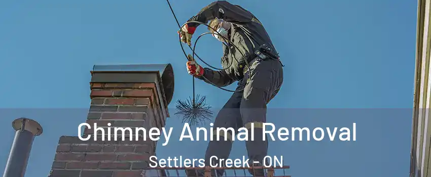 Chimney Animal Removal Settlers Creek - ON