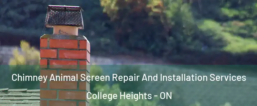 Chimney Animal Screen Repair And Installation Services College Heights - ON
