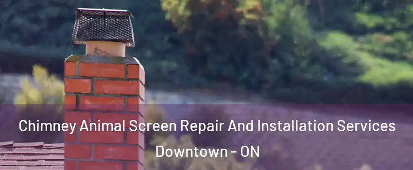  Chimney Animal Screen Repair And Installation Services Downtown - ON