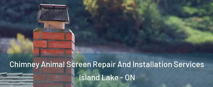  Chimney Animal Screen Repair And Installation Services Island Lake - ON