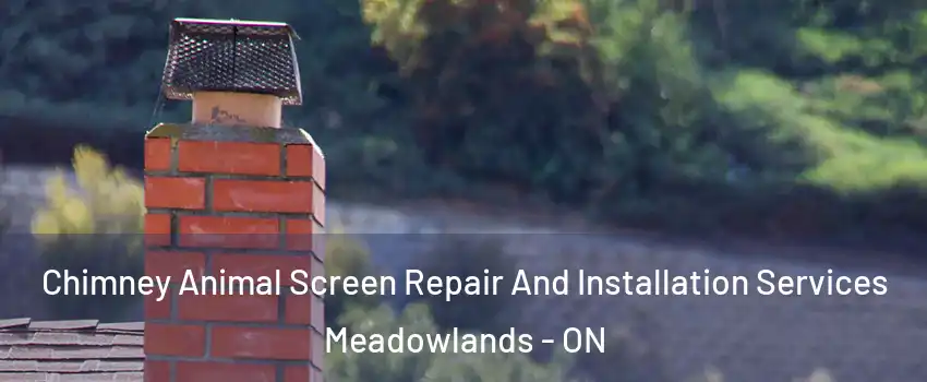  Chimney Animal Screen Repair And Installation Services Meadowlands - ON