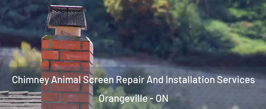  Chimney Animal Screen Repair And Installation Services Orangeville - ON