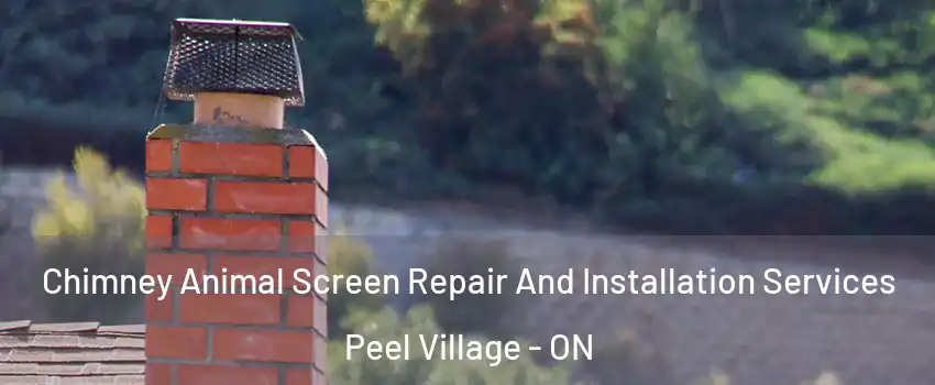 Chimney Animal Screen Repair And Installation Services Peel Village - ON
