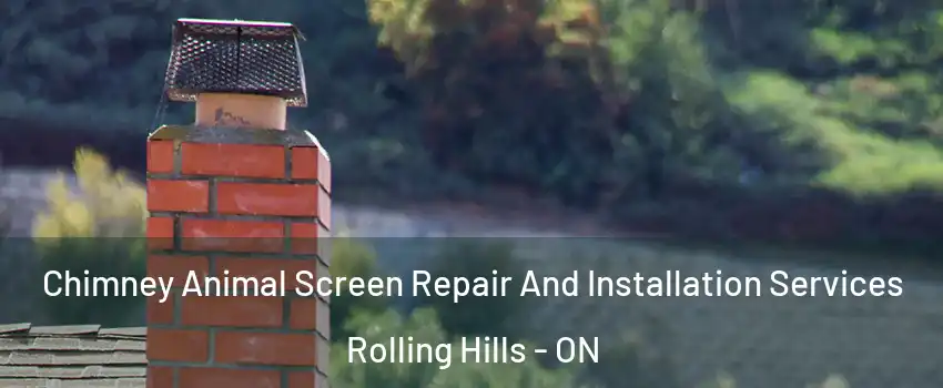  Chimney Animal Screen Repair And Installation Services Rolling Hills - ON