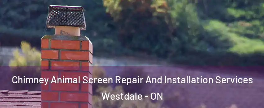  Chimney Animal Screen Repair And Installation Services Westdale - ON