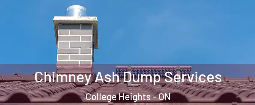  Chimney Ash Dump Services College Heights - ON