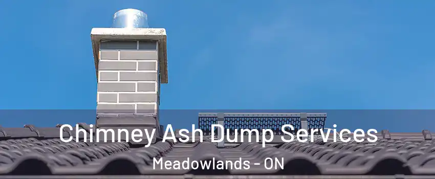  Chimney Ash Dump Services Meadowlands - ON
