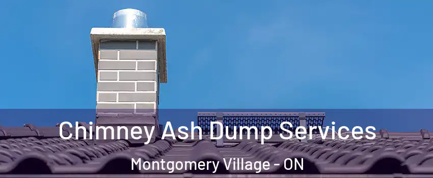  Chimney Ash Dump Services Montgomery Village - ON