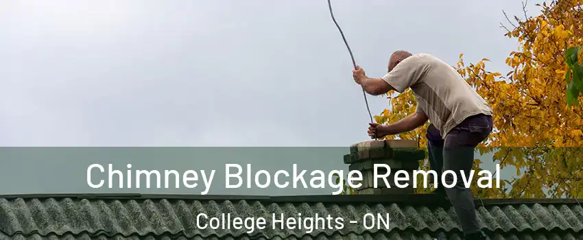  Chimney Blockage Removal College Heights - ON