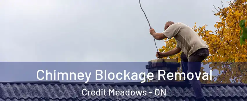  Chimney Blockage Removal Credit Meadows - ON
