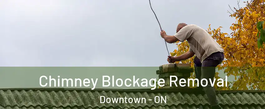  Chimney Blockage Removal Downtown - ON