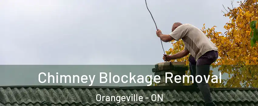  Chimney Blockage Removal Orangeville - ON