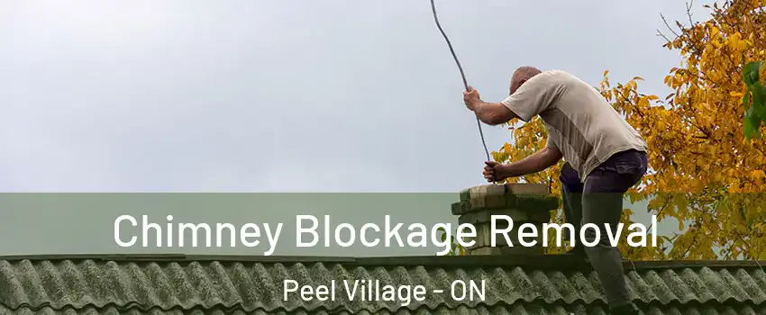  Chimney Blockage Removal Peel Village - ON