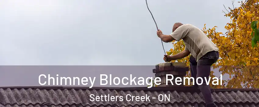  Chimney Blockage Removal Settlers Creek - ON