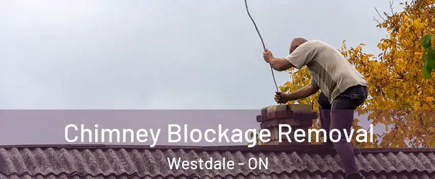  Chimney Blockage Removal Westdale - ON