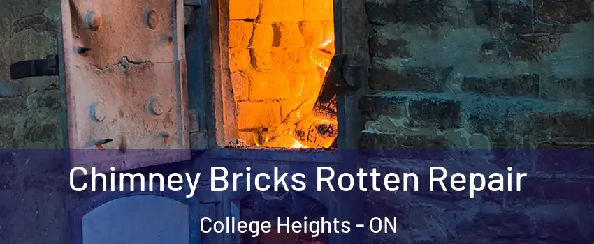  Chimney Bricks Rotten Repair College Heights - ON