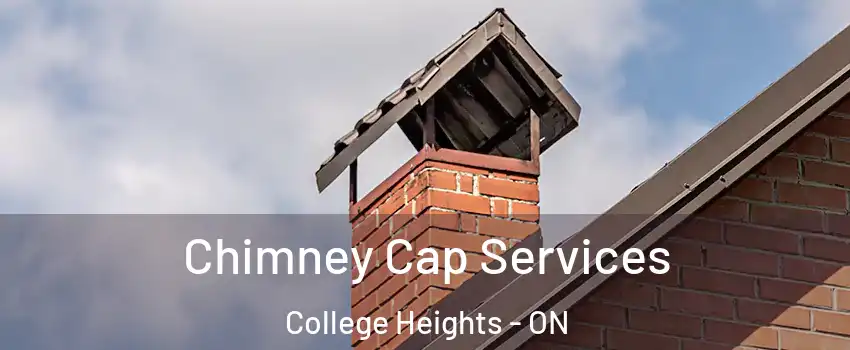  Chimney Cap Services College Heights - ON