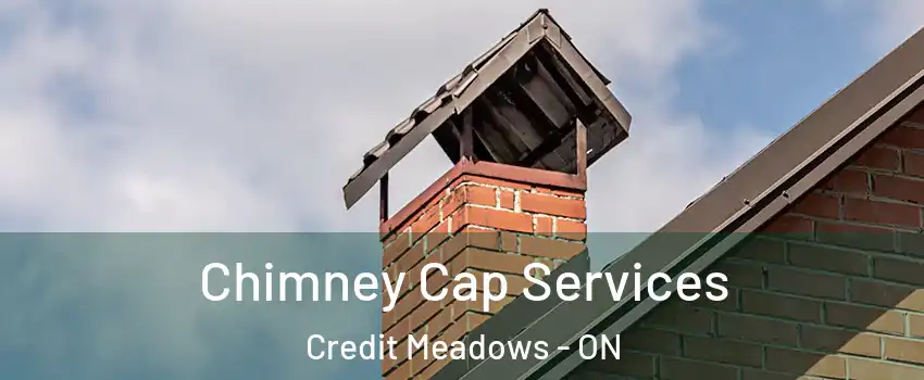  Chimney Cap Services Credit Meadows - ON