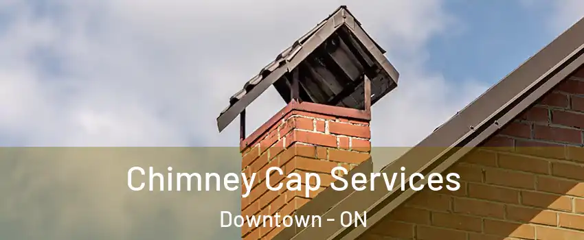  Chimney Cap Services Downtown - ON