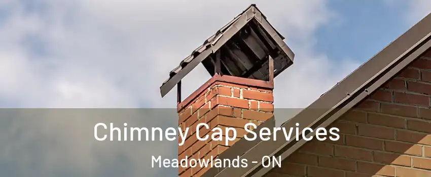  Chimney Cap Services Meadowlands - ON