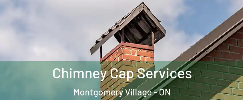  Chimney Cap Services Montgomery Village - ON