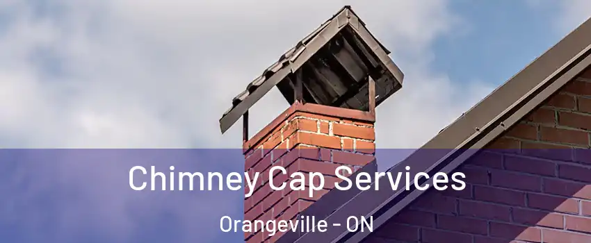  Chimney Cap Services Orangeville - ON