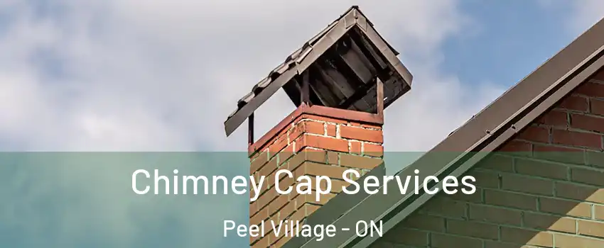  Chimney Cap Services Peel Village - ON