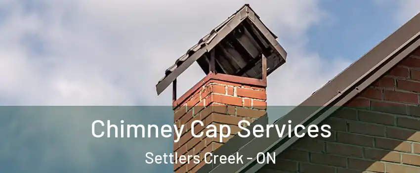  Chimney Cap Services Settlers Creek - ON