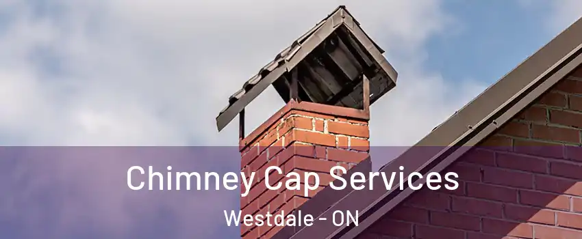  Chimney Cap Services Westdale - ON