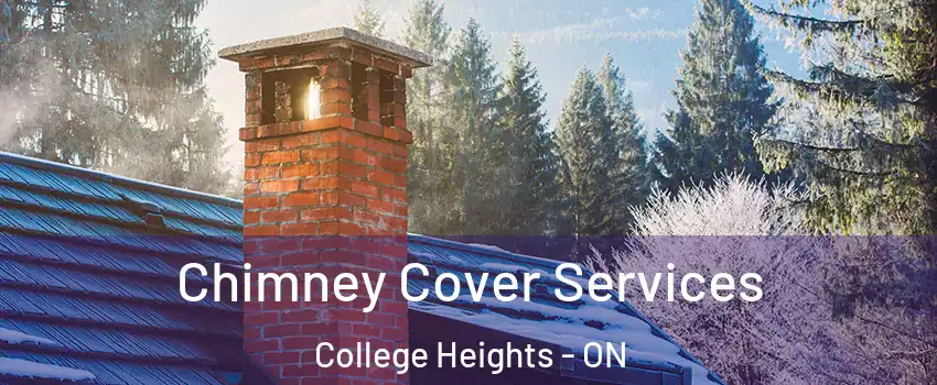  Chimney Cover Services College Heights - ON