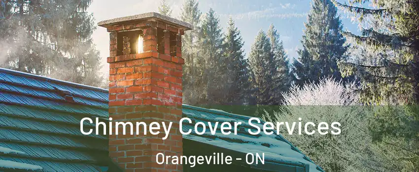  Chimney Cover Services Orangeville - ON