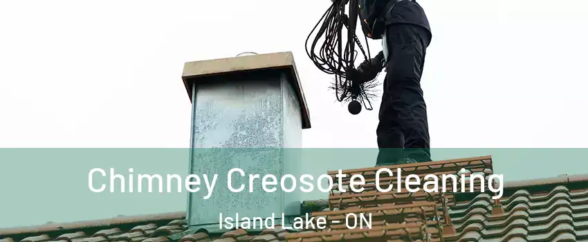  Chimney Creosote Cleaning Island Lake - ON