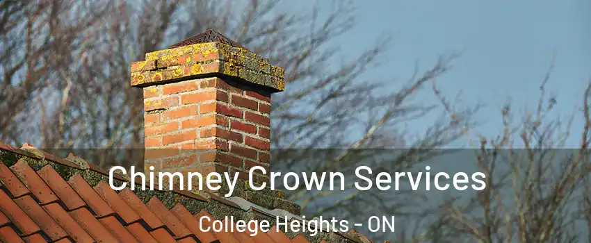  Chimney Crown Services College Heights - ON