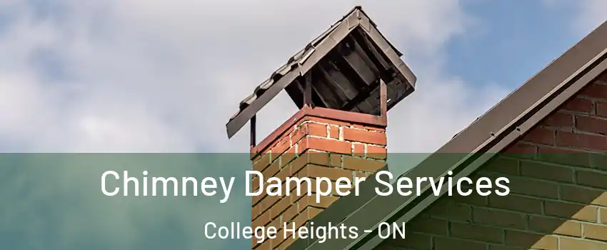  Chimney Damper Services College Heights - ON