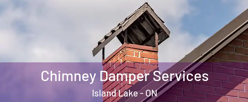  Chimney Damper Services Island Lake - ON