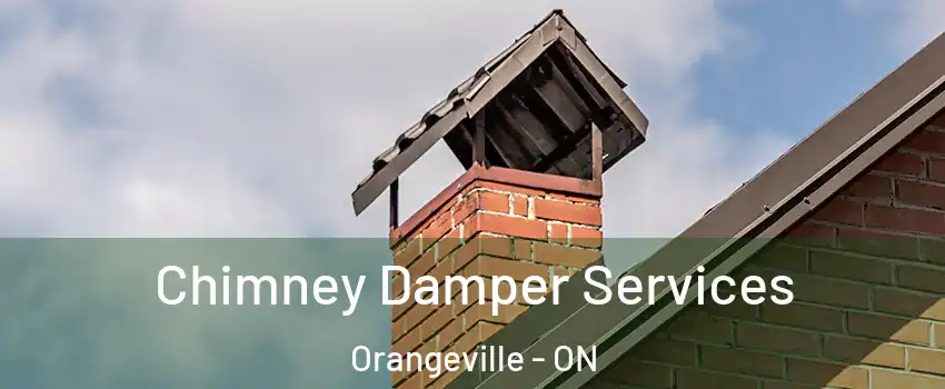  Chimney Damper Services Orangeville - ON