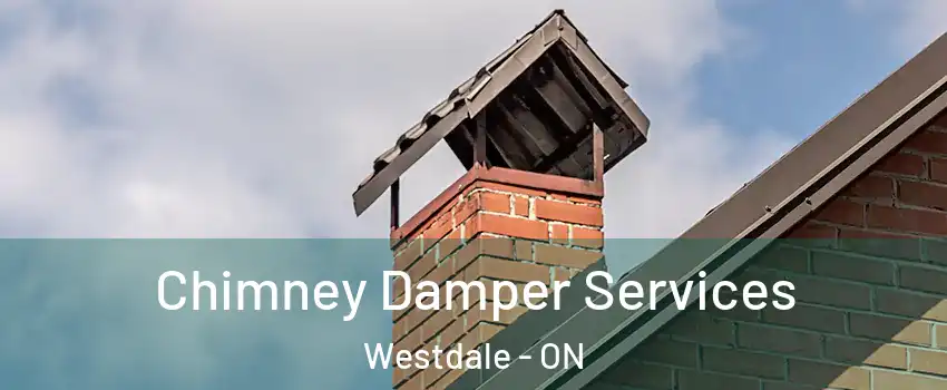 Chimney Damper Services Westdale - ON