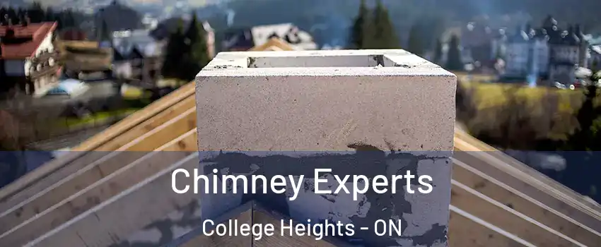 Chimney Experts College Heights - ON