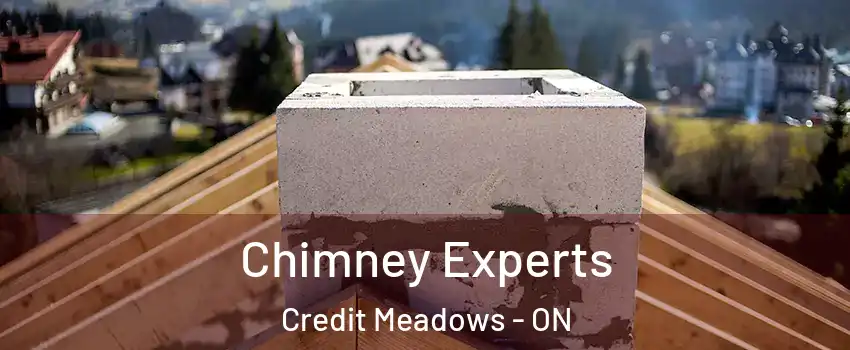 Chimney Experts Credit Meadows - ON