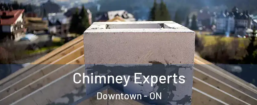 Chimney Experts Downtown - ON