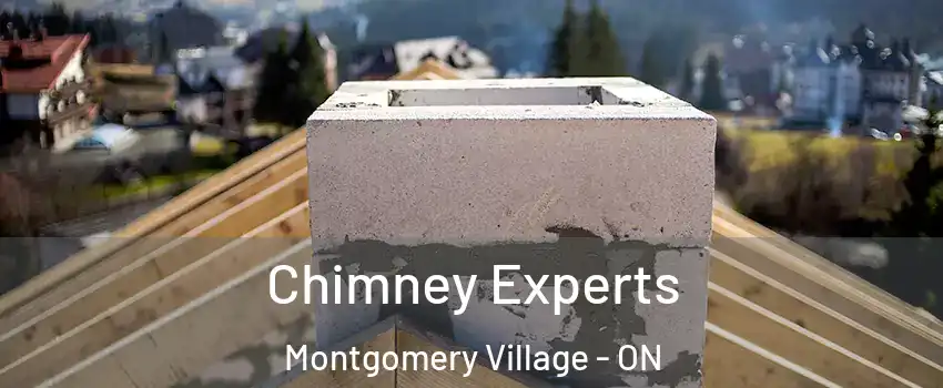 Chimney Experts Montgomery Village - ON