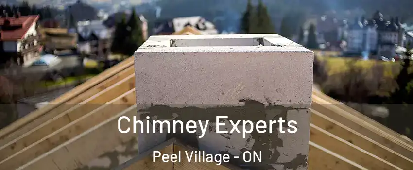 Chimney Experts Peel Village - ON