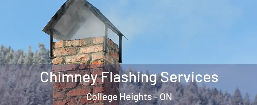  Chimney Flashing Services College Heights - ON